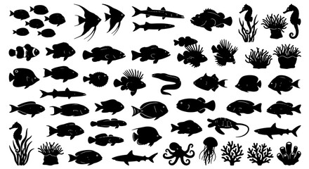 Diverse Marine Life Silhouettes Collection, 50+ Aquatic Animals Vector Set, Underwater Ocean Creatures Icons for Design © Munna