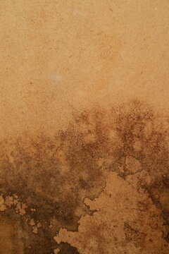 Empty Vintage Antique Paper Texture with Copy Space Background