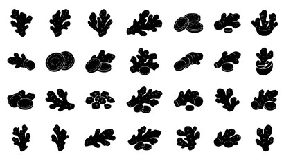 Professional Ginger Root and Slice Silhouette Vector Illustration Bundle for Spice Packaging Herbal Food and Kitchen Designs © sobuj
