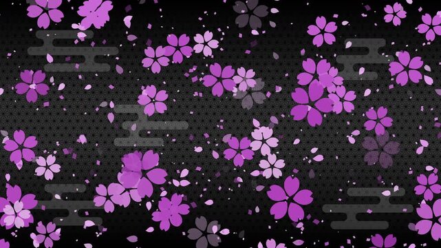 桜01 紫 紙吹雪 紫 下降 パターン01 エ霞 麻の葉 ループ （黒 背景）