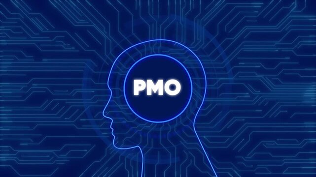 Pmo project management office concept with digital human head and circuit board background