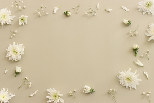 Top view image of white flowers on pastel background