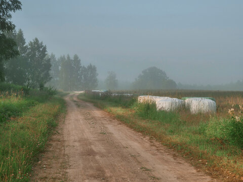 Misty rural road winds through green fields. White hay bales line the path. Trees stand tall in soft morning haze. Grass grows tall beside dirt path. Peaceful countryside scene at dawn