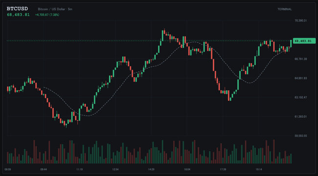 Bitcoin price candlestick chart, BTCUSD trading analysis, cryptocurrency market trend, digital finance data, blockchain investment growth, flat vector illustration
