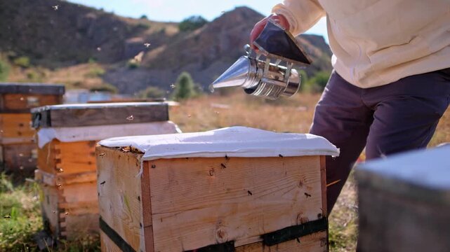 Close-up of a beekeeper applying smoke to a capped honeycomb frame covered with honey bees. The scene highlights hive inspection, traditional beekeeping, colony care and natural honey production.