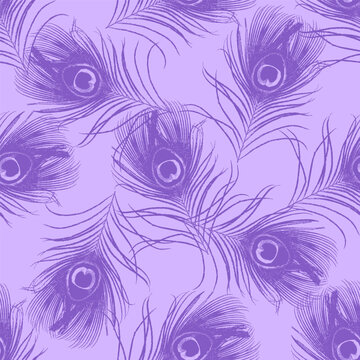 Boho Seamless pattern with detailed purple peacock feathers on a soft lilac background. Elegant monochrome exotic bird plumage vector