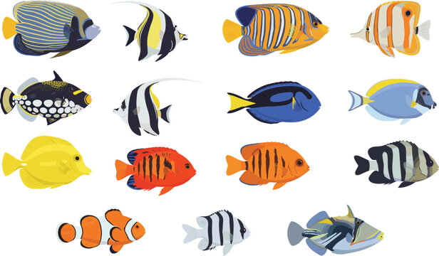 Colorful Tropical Fish Collection with Angelfish Clownfish Butterflyfish and Tangs Vector Illustration