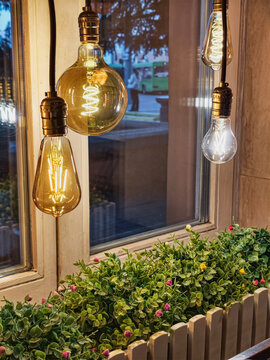 Several light bulbs hang above a row of small plants by a window at a cafe. People can be seen outside while it gets darker outside