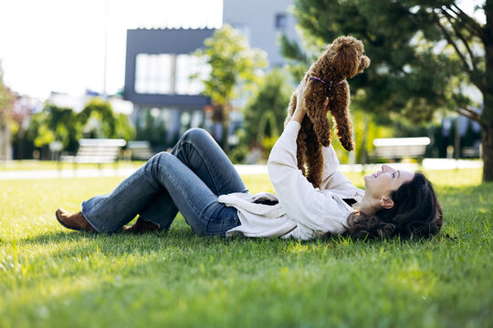 Young woman lying on green grass, lifting her happy toy poodle puppy, enjoying bonding and friendship outdoors