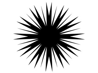 Obraz premium Black starburst geometric shape design