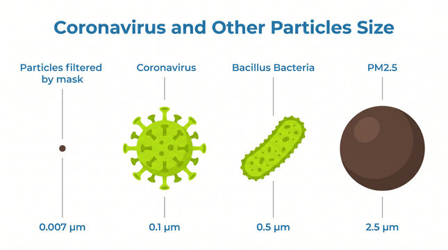 Comparative size diagram of coronavirus and common microscopic particles
