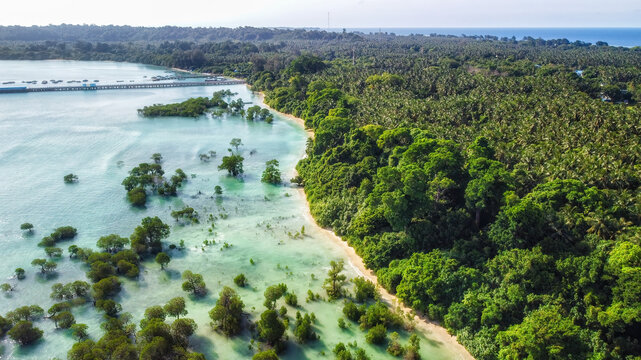 Mangrove Trees in Crystal Clear Transparent Blue Sea Water with Cloudy Sky - Neil Island, Andaman Nicobar Islands, India.