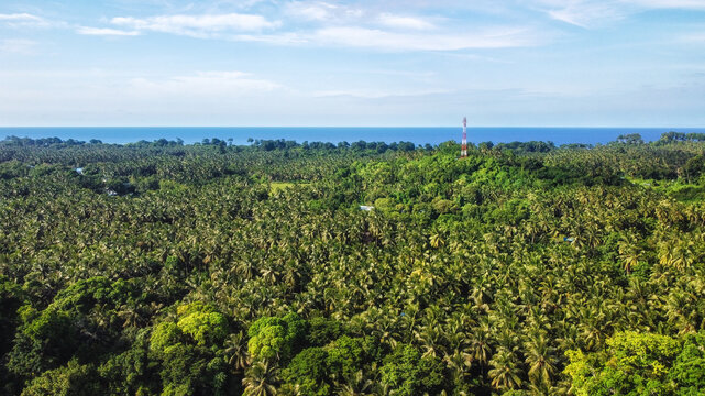 Mangrove Trees in Crystal Clear Transparent Blue Sea Water with Cloudy Sky - Neil Island, Andaman Nicobar Islands, India.