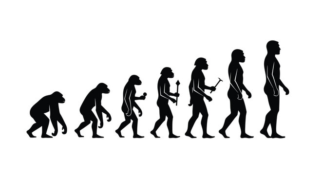 Illustrative depiction of human evolution showing stages from primate to modern man silhouette