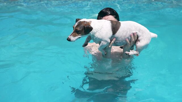 Boy holding Jack Russell terrier over swimming pool water during sunny day