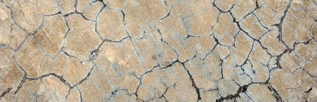 Cracked concrete wall texture with crack lines resembling a web.