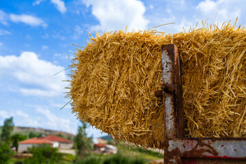 hay bales in the field © Halilibrahimgunes