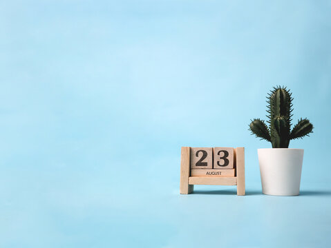 A wooden block calendar for August 23rd with a plastic cactus plant on the side on a light blue background.