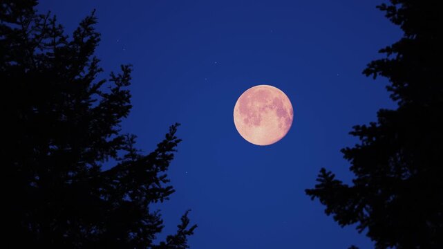 Moon on a twilight sky with landscape mountain silhouettes.