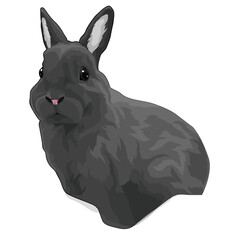 Gray rabbit