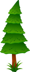 Fototapeta premium Green pine tree vector illustration isolated on white background