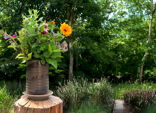 A bouquet of herbs in the garden in summer, freshly picked