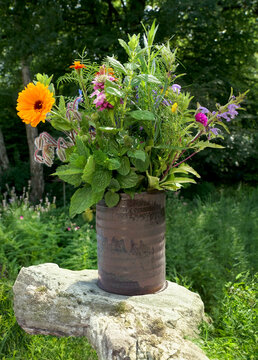 Kr&auml;uterblumenstrau&szlig; im Garten im Sommer, frisch nach der Ernte