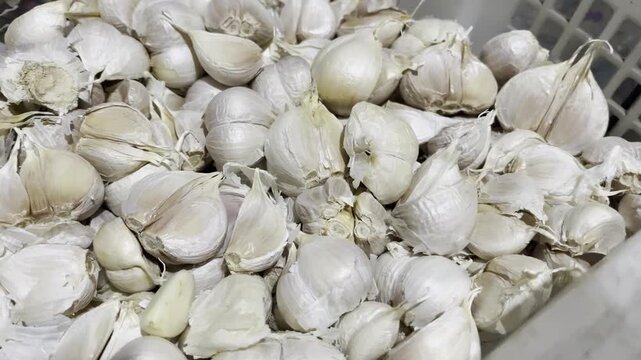 Fresh raw garlic bulbs piled up in a market container