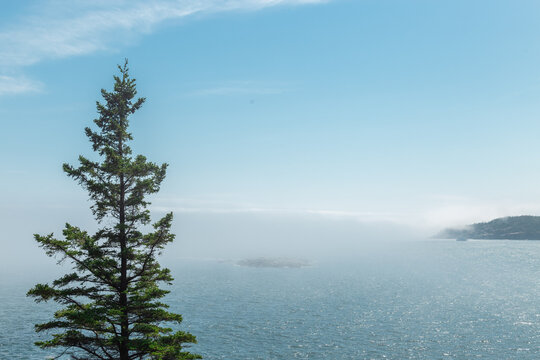 Misty Newport Cove with Boat Wake from Great Head in Acadia National Park