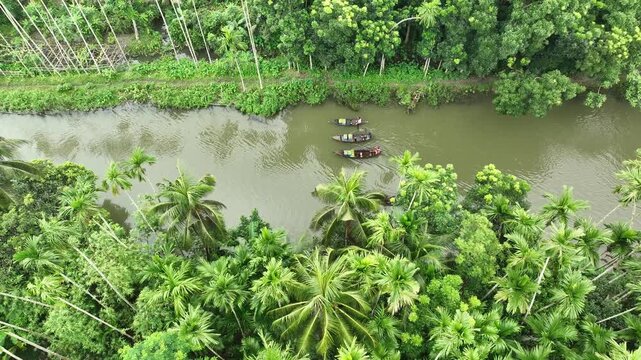 Traditional wooden canoes traveling down tropical river aerial view