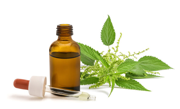 Stinging Nettle with Flowers, Dropper and Glass Bottle Isolated on White Background