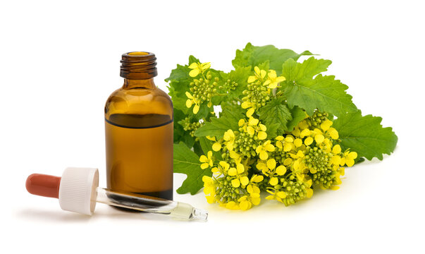 Sinapis alba essential oil dropper bottle isolated on white background