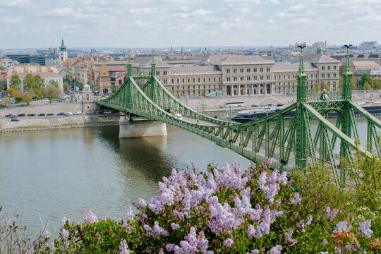 Discovering budapests liberty bridge in a spring bloom with scenic views of the city