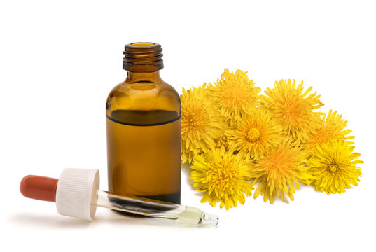Dandelion Flowers with Dropper Bottle Isolated on White