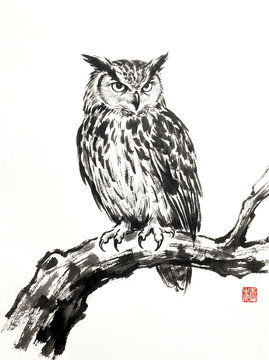 A detailed ink drawing of a wise owl perched on a branch in a traditional art style