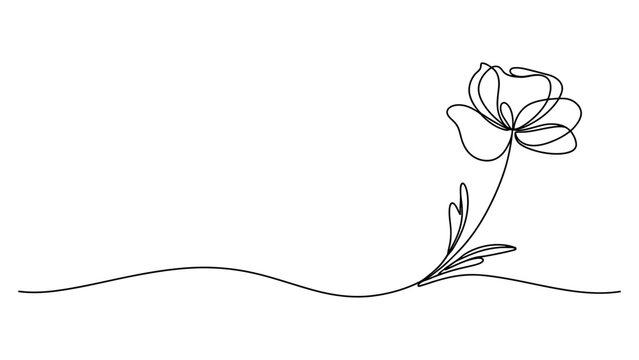 Minimalist continuous single line drawing of a beautiful flower Vector, illustration