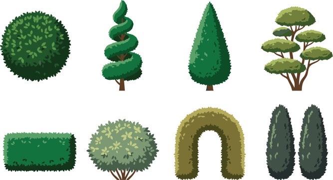 Decorative Topiary Trees and Garden Shrubs Collection Isolated on White Background