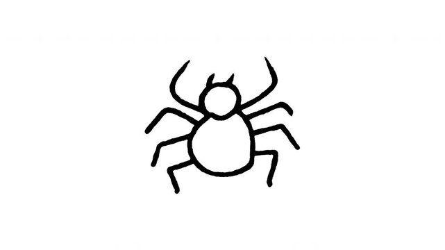 4K hand drawn spider insect icon featuring boiling line movement. Frame by frame doodle art on black and green screen backgrounds for creepy crawler, arachnid pest, Halloween spider decor edits.