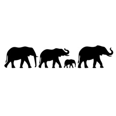 Fototapeta premium family of elephants walking silhouette wildlife safari animal design
