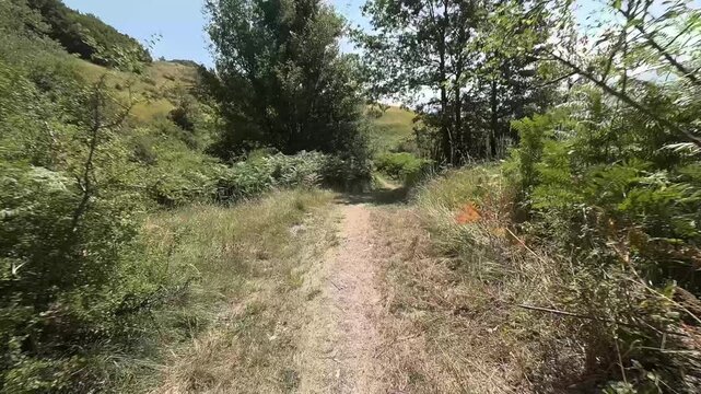 Giro in montagna con MTB