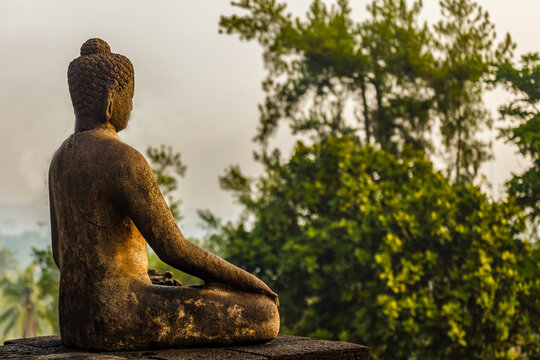 Buddha statue in meditation pose, with trees in background.