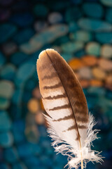 Eagle feather as concept of a spirit animal guiding you in the otherworld on shamanic journey. © Joachim
