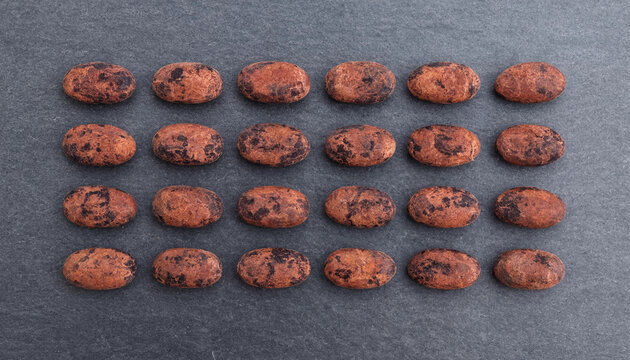 A flat lay arrangement of twenty raw cocoa beans placed in a grid pattern on a dark grey slate stone background, with rough texture