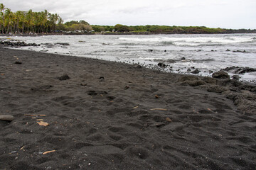Wide view of Punalu'u Black Sand Beach with palm trees and volcanic coastline on the Big Island Hawaii © Joao Vieira