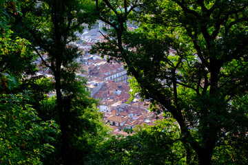 Fototapeta premium Between Trees View of Donostia-San Sebastián City, Gipuzkoa, Basque Country (Spain)