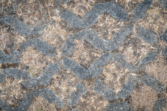 Close-up of interlocking concrete paving blocks with dry grass filling the gaps, creating a rustic textured surface for architectural backgrounds.