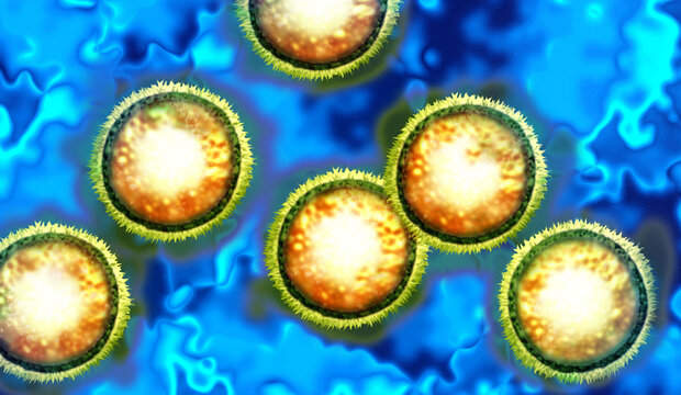 Influenza D virus outbreak as a respiratory virus that primarily infects cattle and other livestock as a bovine disease representing veterinary research and disease surveillance .