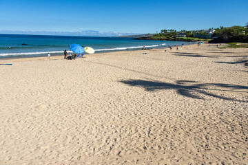 Blue and yellow beach umbrellas on the sand with a palm tree shadow in the foreground at Hapuna Beach on the Big Island of Hawaii © Joao Vieira