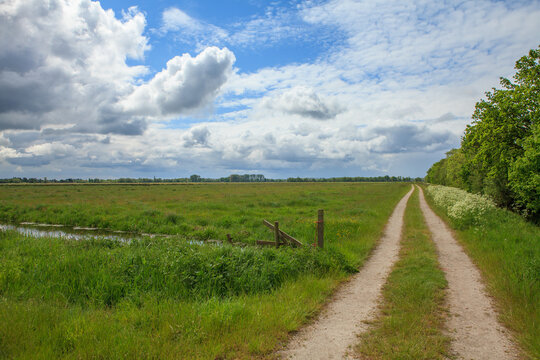 Dirt road and fields in Dutch countryside