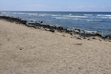 Volcanic lava rocks scattered across a sandy beach along the shoreline of the Big Island Hawaii © Joao Vieira